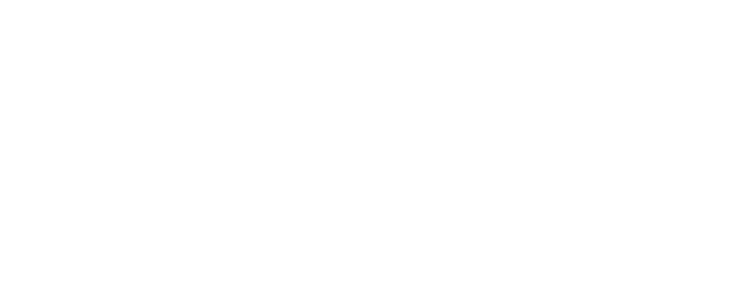 toro completo blanco